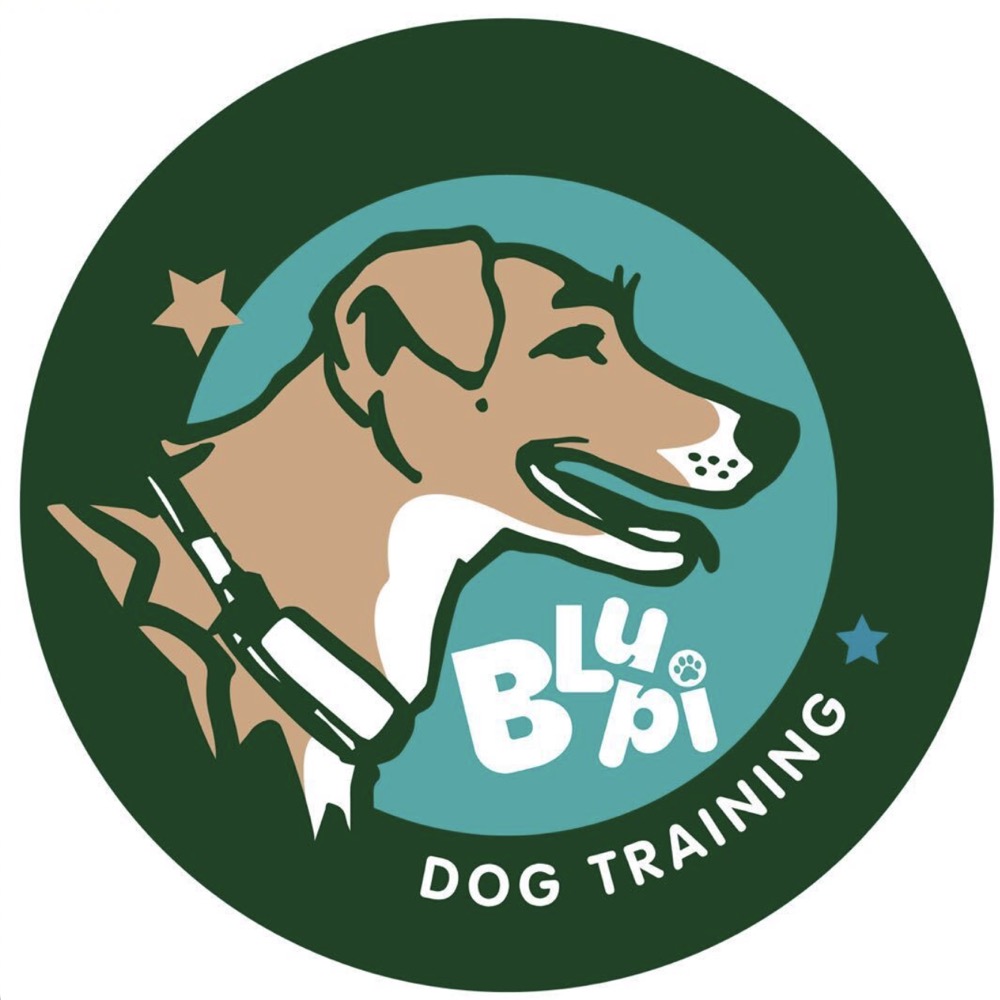 Blupi Dog Training